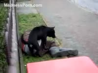 Zoo XXX - Drunk homeless chap is getting gangbanged by a dark dog in the street